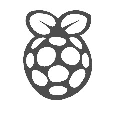 Raspberry Pi